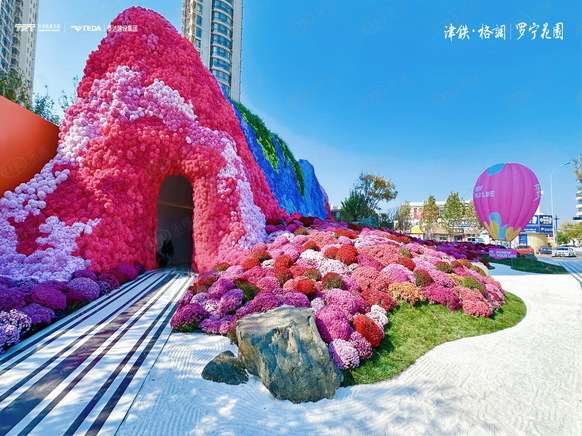 社区实景